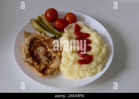 Köstliche Kartoffelpüree mit Hackfleisch und eingelegten Gurken und Tomaten auf dem weißen Teller vor Hintergrund. Stockfoto