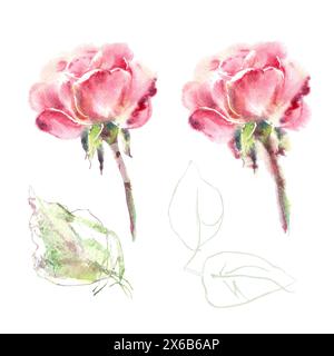 Aquarellset von rosa Rosen mit Blättern Handmalerei Blumenillustration in Sammlung Gartenblumen. Isoliert auf weißem Hintergrund. Hochzeitsblumen Stockfoto