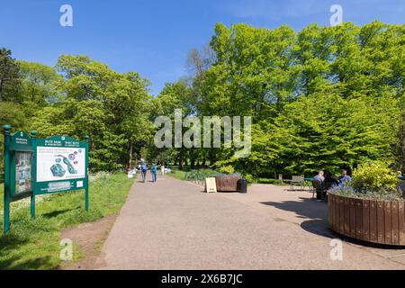 Bute Park und Arboretum, Cardiff Castle Grounds, Cardiff, Wales Stockfoto