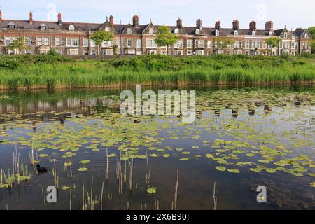 Windsor Esplanade und Cardiff Bay Wetlands Reserve, Cardiff, Wales Stockfoto