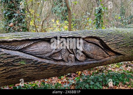 Holzschnitzerei „The Ewls“ von Andy O’Neill, Teil des Skulpturenwegs im Stoke Park, Bristol, Großbritannien, Januar 2023. Stockfoto