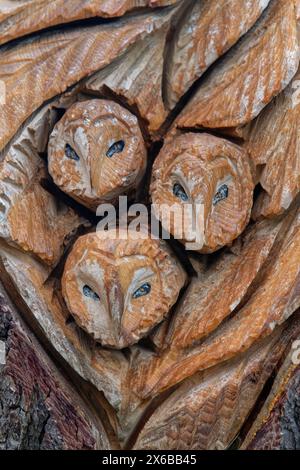 Holzschnitzerei der Eulenfamilie von Andy O’Neill, Teil des Skulpturenwegs im Stoke Park, Bristol, Großbritannien, Januar 2023. Stockfoto