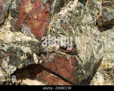 Serpentine Felsvorsprünge mit grüner, schuppiger Oberfläche, Kynance Cove, The Lizard, Cornwall, Großbritannien, Juni. Stockfoto