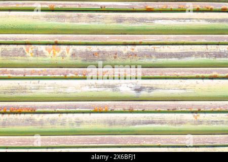 Nahaufnahme eines alten, rostigen Metallverschlusses mit Spuren grüner Farbe, strukturiertem Hintergrund Stockfoto