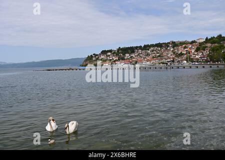 Nordmakedonien, Ohrid, Blick auf den See und die Altstadt Stockfoto