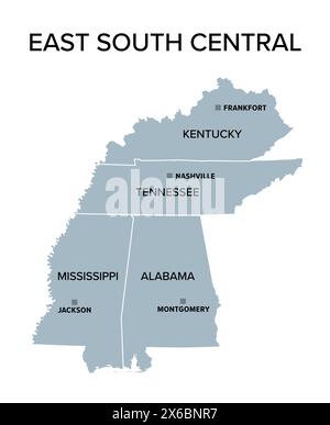 Ost-Süd-zentralstaaten, graue politische Karte. United States Census Division of the South Region. Stockfoto