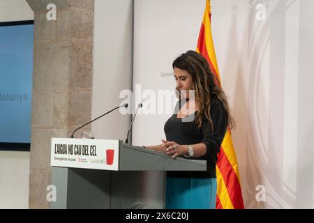 Der Sprecher der Generalitat erscheint auf einer Pressekonferenz, um die Regierungsvereinbarungen zu erläutern und hat gezeigt, dass die Generalitat-Regierung die Situation der Vorortzüge aufgrund des Verkehrschaos im katalanischen Eisenbahnnetz ablehnt. La portavoz de la Generalitat comparece en rueda de prensa para explizar los acuerdos del gobierno y ha mostrado el rechazo del gobierno de la Generalitat por la situaci-n de cercan'as, debido al caos circulatorio en la red ferroviaria catalana. Auf dem Bild: patricia plaja News Politics -Barcelona, Spanien Dienstag, 14. Mai 2024 (Foto: Eric Renom Stockfoto