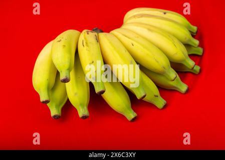 Ein ganzes Haufen reifer Bananen. Isoliert auf rotem Hintergrund. Stockfoto