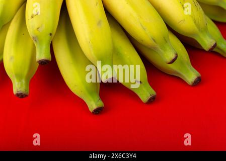 Nahaufnahme eines Haufens reifer Bananen. Isoliert auf rotem Hintergrund. Stockfoto