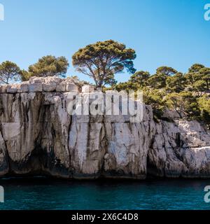 Einsamer Baum auf zerklüfteten Kalksteinfelsen vor blauem Meer Stockfoto