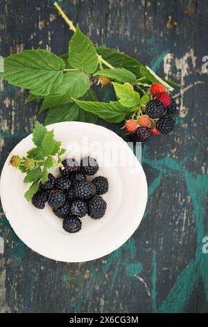 Wilde Himbeeren aus schwarzem Wald in einer Tonschale auf einem alten Holztisch Stockfoto