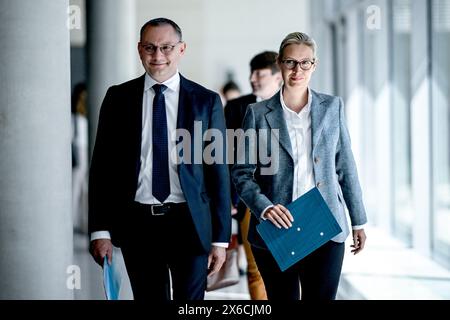 Berlin, Deutschland. Mai 2024. Die Fraktionsvorsitzenden der AfD Alice Weidel und Tino Chrupalla nehmen an der wöchentlichen Fraktionssitzung Teil. Quelle: Britta Pedersen/dpa/Alamy Live News Stockfoto