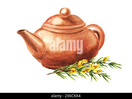 Terrakotta-Ton-Teekanne und Rooibos-Pflanze. Handgezeichnete Aquarellillustration isoliert auf weißem Hintergrund Stockfoto