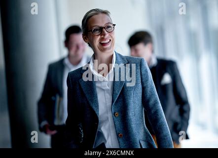 Berlin, Deutschland. Mai 2024. Alice Weidel, Vorsitzende der AfD-Fraktion, nimmt an der wöchentlichen Fraktionssitzung Teil. Quelle: Britta Pedersen/dpa/Alamy Live News Stockfoto