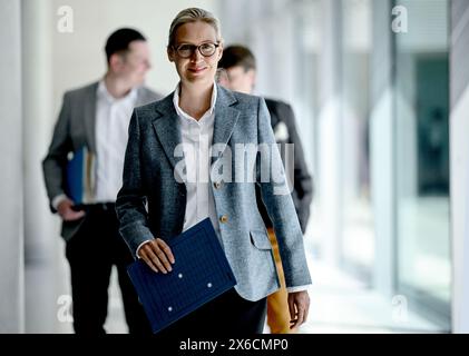 Berlin, Deutschland. Mai 2024. Alice Weidel, Vorsitzende der AfD-Fraktion, nimmt an der wöchentlichen Fraktionssitzung Teil. Quelle: Britta Pedersen/dpa/Alamy Live News Stockfoto