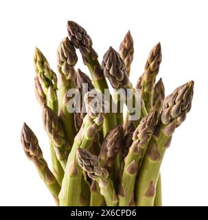 Frischer Spargelstrauch isoliert auf weißem Hintergrund Stockfoto