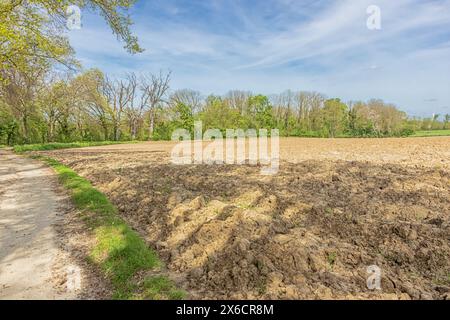 Felder, die darauf warten, gepflügt zu werden, in der Nähe von Lüttich mit Windmühlen im Hintergrund Stockfoto