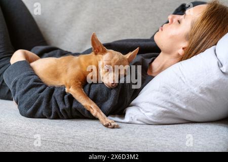 Frau und Toy Terrier schlafen zusammen auf dem Sofa zu Hause. Kleiner Hund, der auf seinem Besitzer liegt und schläft. Das echte Leben. Stockfoto