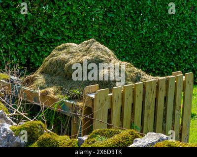 Komposthaufen in einem Garten mit einer grünen Hecke im Hintergrund. Stockfoto
