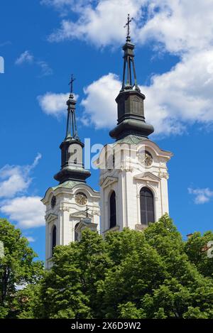 Kathedrale St. Nikolaus, Sremski Karlovci, Vojvodina, Serbien Stockfoto