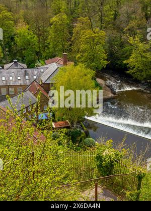 Blick hinunter auf das Wehr auf dem Nidd bei Knaresborough in North Yorkshire England Großbritannien mit Wäldern zu beiden Seiten des Flusses. Stockfoto