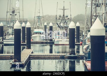 Angedockte Boote im nebeligen Hafen. Crescent City, Kalifornien, Vereinigte Staaten von Amerika Stockfoto