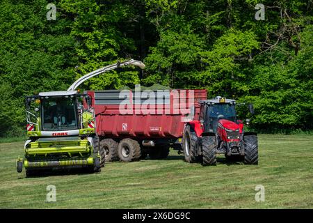 Traktor mit Anhänger neben dem Feldhäcksler Claas Jaguar 870/selbstfahrendem Silagehäcksler zur Ernte von Gras auf der Wiese/Weide Stockfoto