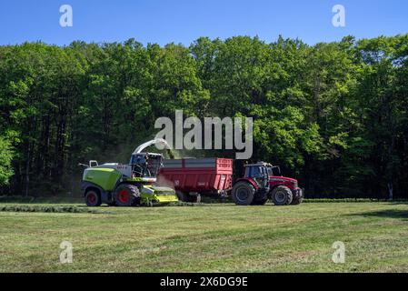 Traktor mit Anhänger neben dem Feldhäcksler Claas Jaguar 870/selbstfahrendem Silagehäcksler zur Ernte von Gras auf der Wiese/Weide Stockfoto