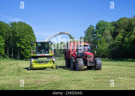 Traktor mit Anhänger neben dem Feldhäcksler Claas Jaguar 870/selbstfahrendem Silagehäcksler zur Ernte von Gras auf der Wiese/Weide Stockfoto