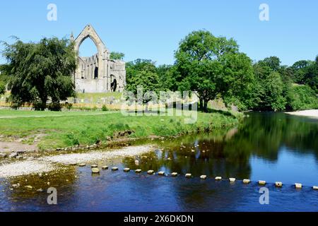 Bolton Abbey und River Wharfe, Wharfedale, nahe Skipton, North Yorkshire, England, UK Stockfoto