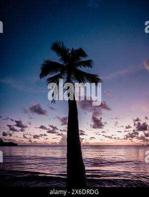 Ein atemberaubender Sonnenuntergang über einem ruhigen Strand in Martinique, mit Silhouettenpalmen, die sich in Richtung des ruhigen Karibischen Meeres neigen. Die ruhige Szene c Stockfoto
