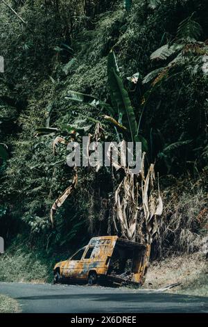 Rostiges verlassenes Auto umgeben von üppiger tropischer Vegetation am Straßenrand in Martinique, das den Kontrast zwischen Natur und künstlichem Objekt unterstreicht Stockfoto