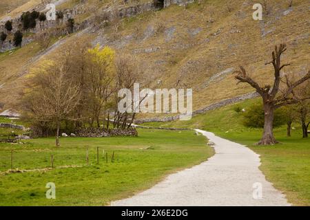 Der Fußweg führt zum Gordale Scar in Malhamdale, Yorkshire Dales, Großbritannien Stockfoto