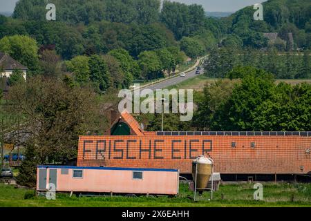 Bauernhof bei Xanten, verkauft frische Eier ab Hof, Hofladen, Höhnshof, Werbung auf dem roten Schindeldach, NRW, Deutschland, Landwirtschaft Eier *** Bauernhof bei Xanten, verkauft frische Eier vom Bauernhof, Hofladen, Höhnshof, Werbung auf dem roten Schindeldach, NRW, Deutschland, landwirtschaftliche Eier Stockfoto