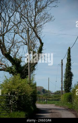 Country Lane, Preston, Lancashire, Großbritannien Stockfoto