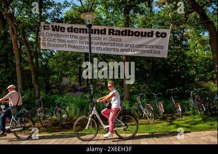 Während eines Studentenprotests auf dem Campus der Radboud University hängt ein Banner mit mehreren Forderungen über den Fahrrädern. Nach den Studentenprotesten auf den Universitäten in Amsterdam und Utrecht in der vergangenen Woche haben Studenten in Nijmegen ein Lager auf dem Campus der Radboud-Universität eingerichtet. Studenten und Mitarbeiter forderten die niederländischen Institutionen auf, ihre Mittäterschaft am „anhaltenden Völkermord“ in Gaza zu beenden und gewalttätige Methoden anzuprangern, mit denen die Polizei friedliche Demonstranten unterdrückt. Nach Angaben des Bürgermeisters von Nijmegen, Hubert Bruls, dürfen die Studenten im Moment dort bleiben. Stockfoto