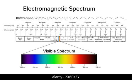 Diagramm des elektromagnetischen Spektrums, sichtbares Spektrum und Licht separat hervorgehoben. Der gesamte Bereich der elektromagnetischen Strahlung. Stockfoto