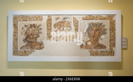 Mosaik mit mythologischen Figuren und Tiger im Archäologischen Museum von Sousse Stockfoto