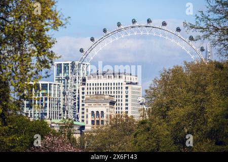 London Eye Riesenrad ab St. James’s Park, London, Montag, 29. April 2024. Foto: David Rowland / One-Image.com Stockfoto