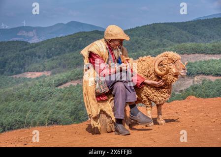 Yunnan, China. 27. April 2024: Ein alter Hirte raucht Pfeife und sitzt mit seinem Widder auf dem Holzstamm auf der offenen Farm im Dongchuan Red Earth Land. Stockfoto