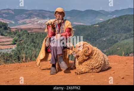 Yunnan, China. 27. April 2024: Ein alter Hirte raucht Pfeife und sitzt mit seinem Widder auf dem Holzstamm auf der offenen Farm im Dongchuan Red Earth Land. Stockfoto