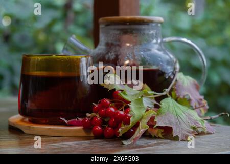 Gelder Rose Viburnum rote Beeren Tee Stillleben auf Tisch im grünen Garten Hintergrund. Gesunde Heißgetränk Vorteile. Natürliches biologisches aromatisches Getränk in der Tasse. Hausgemachte Immunität-steigernde Kräuter für Tee. Herbst Winter warmes beruhigendes Getränk Stockfoto