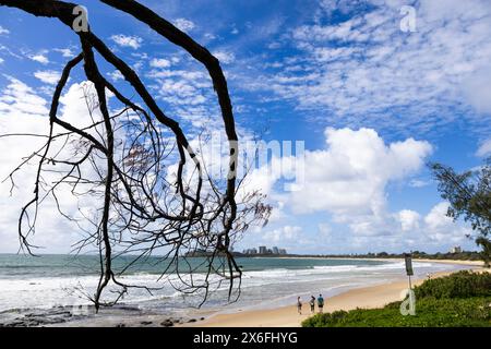 Wunderschöner Strand in Mooloolaba, Sunshine Coast, Australien Stockfoto