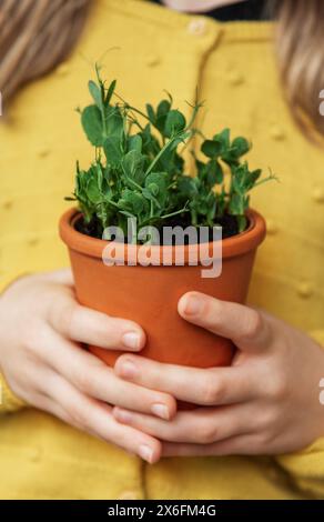 Ein Kind in einem leuchtend gelben Pullover hält zart einen Terrakotta-Topf mit einer grünen Pflanze. Sie sieht die Pflanze mit einem sanften Lächeln und einem Stockfoto