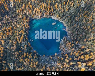 Luftaufnahme mit Drohne über einem herzförmigen See, umgeben von herbstlichen Lärchen - Saoseo See im Kanton Graubünden, Schweiz Stockfoto