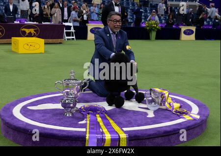 New York, Usa. Mai 2024. NEW YORK, NEW YORK – 14. MAI: Handler Kaz Hosaka poise mit Surrey sage, auch bekannt als „sage“, einem Miniatur Poodle Miniatur Poodle aus Houston, Texas, im Best in Show-Wettbewerb während der 148. Westminster Kennel Club Dog Show im USTA Billie Jean King National Tennis Center in Queens am 14. Mai 2024 in New York City. Quelle: Ron Adar/Alamy Live News Stockfoto