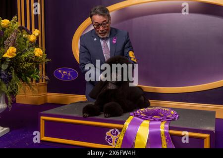 New York, Usa. Mai 2024. NEW YORK, NEW YORK – 14. MAI: Handler Kaz Hosaka mit Surrey sage, auch bekannt als „sage“, einem Miniatur-Pudel aus Houston, Texas, besuchen Sie einen Presser, nachdem Sie den Best in Show-Wettbewerb während der 148. Westminster Kennel Club Dog Show im USTA Billie Jean King National Tennis Center in Queens am 14. Mai 2024 in New York City gewonnen haben. Quelle: Ron Adar/Alamy Live News Stockfoto
