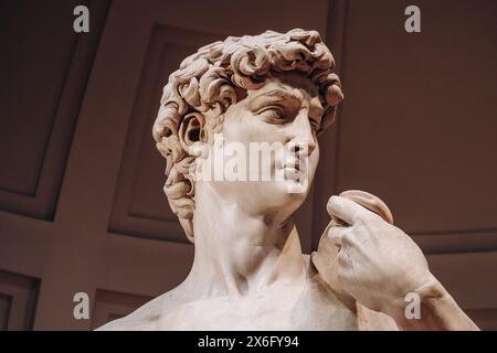 Florenz, Italien - 31. Dezember 2023: David, ein Meisterwerk der italienischen Renaissance-Skulptur, geschaffen von 1501 bis 1504 von Michelangelo in der Galleria dell Stockfoto