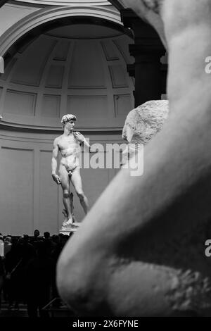 Florenz, Italien - 31. Dezember 2023: David, ein Meisterwerk der italienischen Renaissance-Skulptur, geschaffen von 1501 bis 1504 von Michelangelo in der Galleria dell Stockfoto