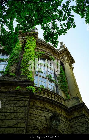 Die Burg von Vajda Hunyad Castle ist mit Pflanzen bewachsen Stockfoto